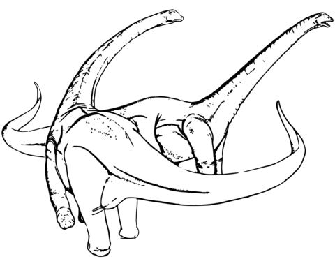 Two Diplodocus  Coloring Page